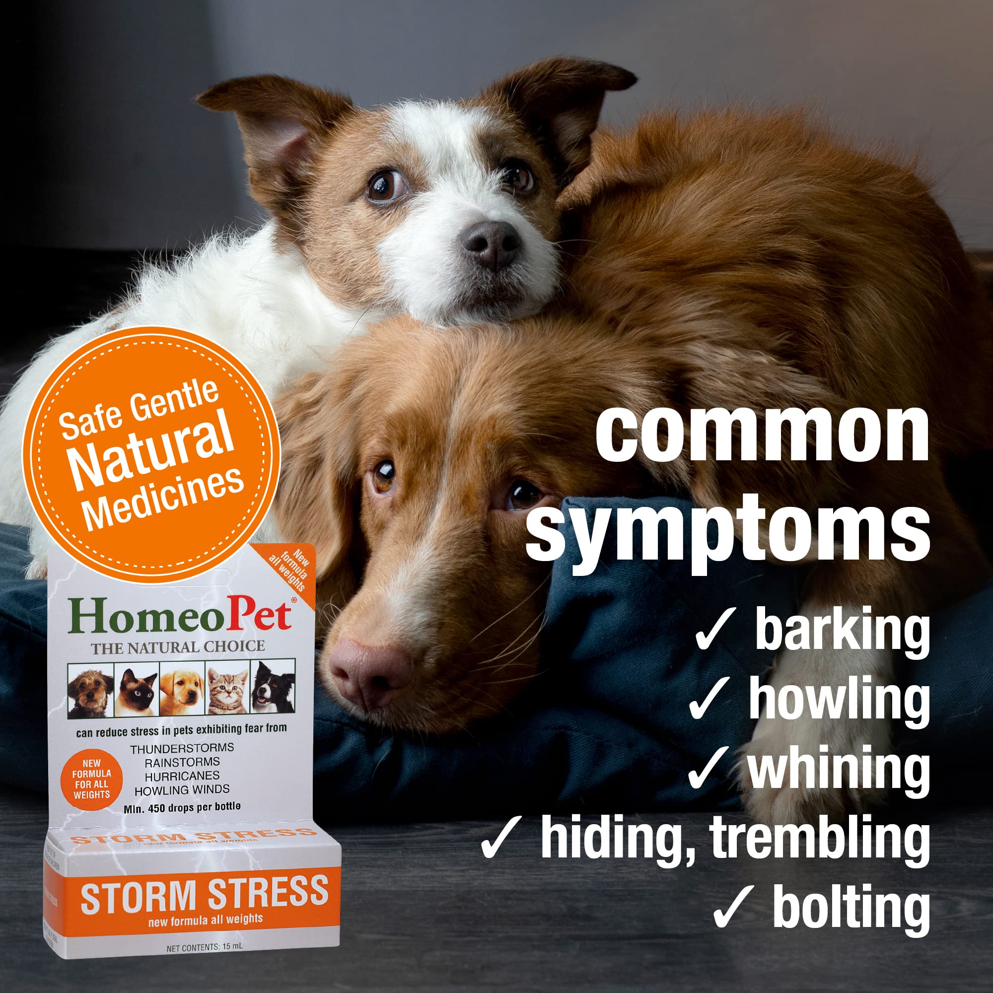 HomeoPet Storm Stress, Storm Anxiety Relief for Dogs, Cats, and Other Small Animals, 15 Milliliters