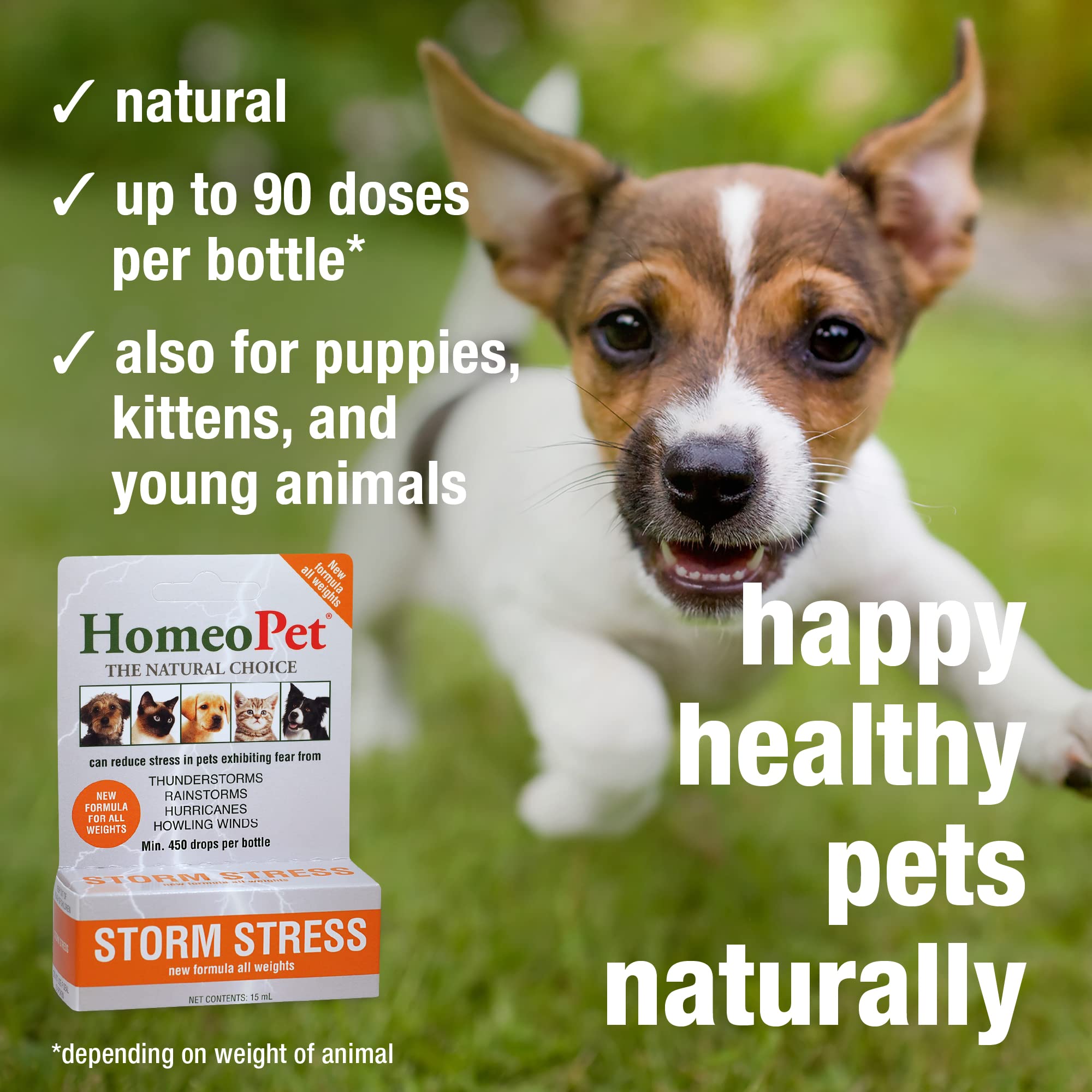 HomeoPet Storm Stress, Storm Anxiety Relief for Dogs, Cats, and Other Small Animals, 15 Milliliters