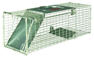 little giant® single door live trap | racoon trap | live animal trap | catches without injury | galvanized steel mesh | 18.75 x 6.75 x 6.5 in