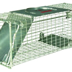 Little Giant® Single Door Live Trap | Racoon Trap | Live Animal Trap | Catches Without Injury | Galvanized Steel Mesh | 18.75 x 6.75 x 6.5 in