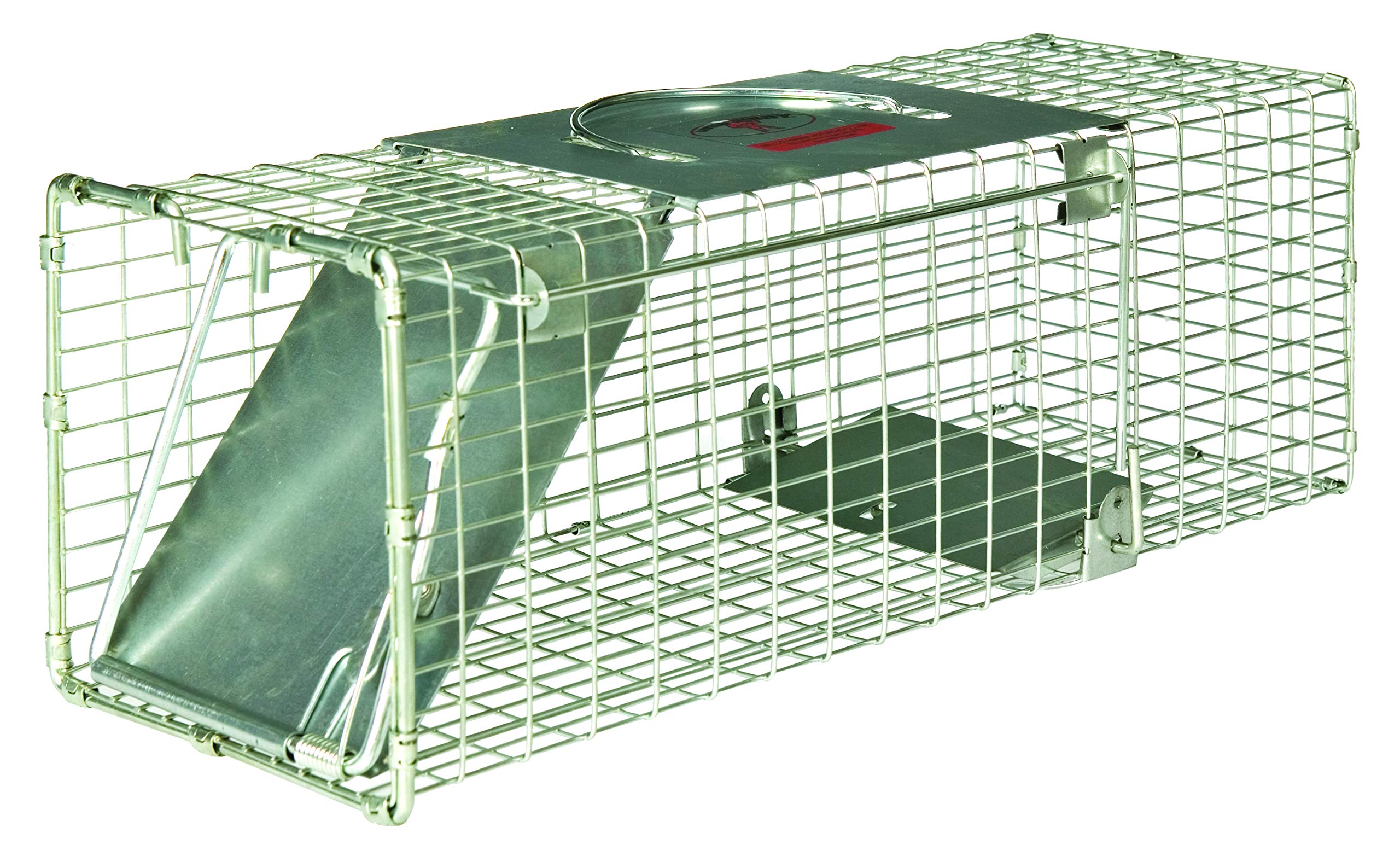 Little Giant® Single Door Live Trap | Racoon Trap | Live Animal Trap | Catches Without Injury | Galvanized Steel Mesh | 18.75 x 6.75 x 6.5 in