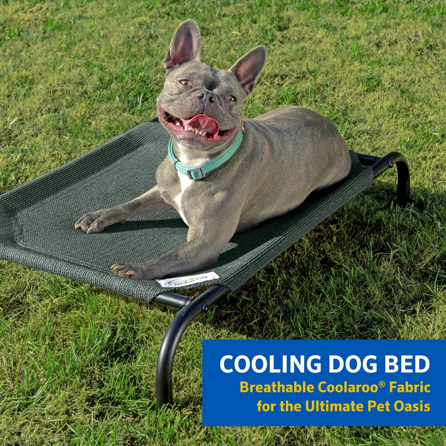 COOLAROO The Original Cooling Elevated Dog Bed, Indoor and Outdoor, Small, Grey