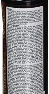 Brightwell Aquatics Florin Fe - Bioavailable Ferrous & Ferric Iron Source for Planted Aquariums,500-ml