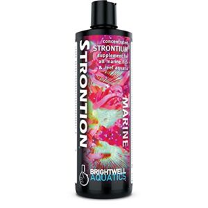 brightwell aquatics strontion - concentrated strontium supplement for all marine aquariums, 250ml