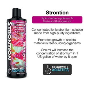 Brightwell Aquatics Strontion - Concentrated Strontium Supplement for All Marine Aquariums, 250ML