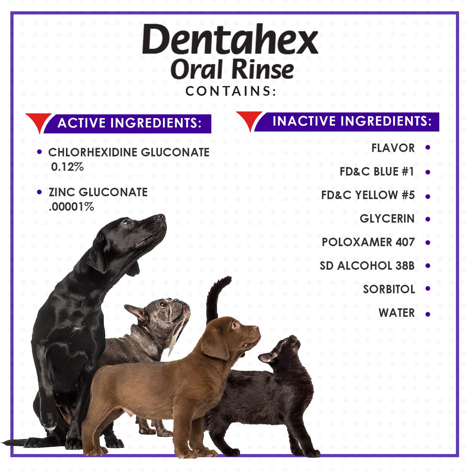 Vetoquinol Dentahex Pet Oral Hygiene Rinse, 8oz