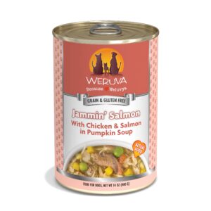 weruva classic dog food, jammin' salmon with chicken & salmon in gravy, 14oz can (pack of 12), red (jammin’ salmon)