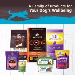 Wellness CORE Natural Wet Grain Free Canned Dog Food, Whitefish, Salmon & Herring, 12.5-Ounce Can (Pack of 12)