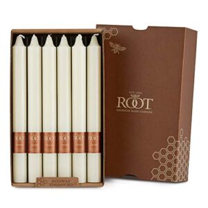 root candles unscented smooth arista 9-inch dinner candles, 12-count, ivory