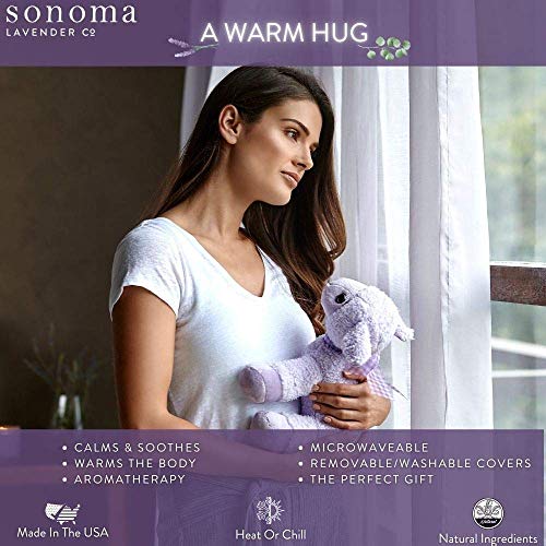 Sonoma Lavender Microwaveable Aromatherapy Pillow, Plush Freddy The Eucalyptus Tree Frog, Eucalyptus Scented with Removable Washable Cover