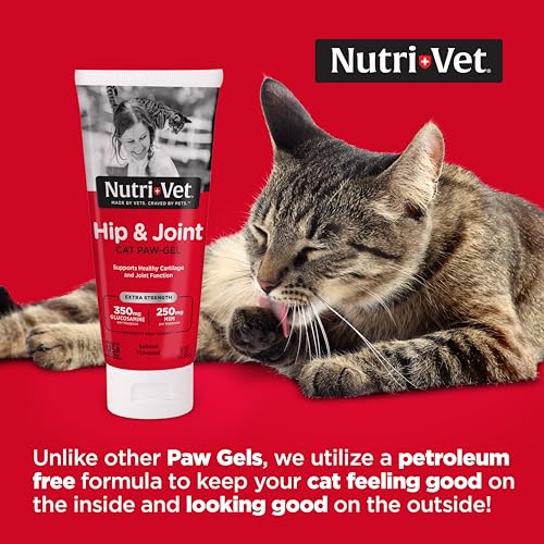 Nutri-Vet Cat Hip & Joint Paw Gel | Cat Joint Supplement | Glucasomine, MSM, and Chondroitin | Tasty & Easy to Give | 3 Ounce Tube