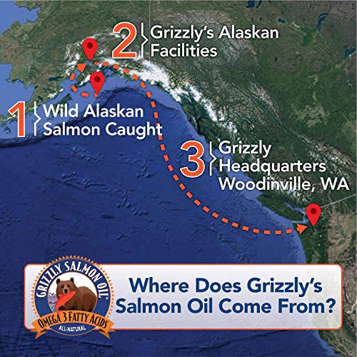 Grizzly Salmon Plus Omega Fatty Acids Food Supplement for Dogs & Cats (Various Sizes) - Wild-Sourced Omega 3-6-9, Wild Alaskan Salmon Oil (64 Fl Oz)