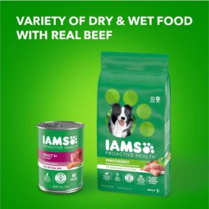 IAMS Proactive Health Adult Wet Dog Food Chunks in Gravy, Beef Recipe, 13 oz. Cans, Pack of 12