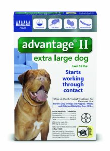 advantage - blue box for dogs over 55 pounds - 6 pack