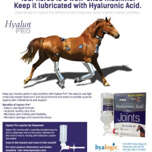 Hyalogic Hyaluronic Acid for Horses 30 Day Supply for Joint Health - Easy Oral Tip Dispenser - Liquid HA for Equine Joints & Cartilage Support Supplement - Hyalun Pro Equine Supplies - 3 oz / 90 ml