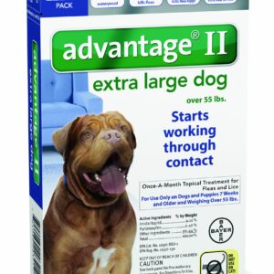 Advantage - Blue Box for Dogs over 55 pounds - 6 pack