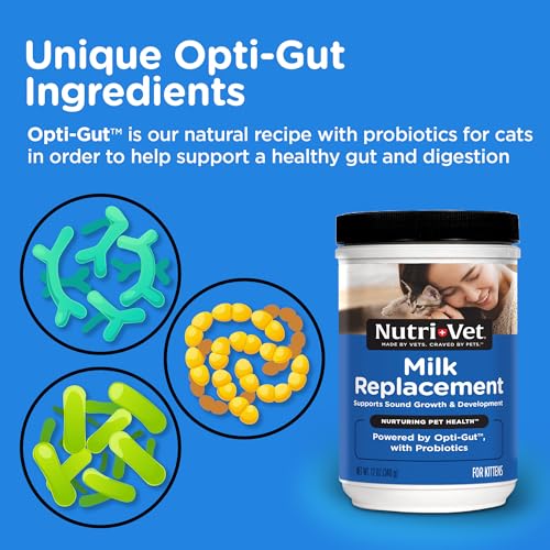 Nutri-Vet Milk Replacement For Kittens - Healthy Gut Support with Probiotics - Essential Nutrients - Veterinarian Formulated - 12 oz