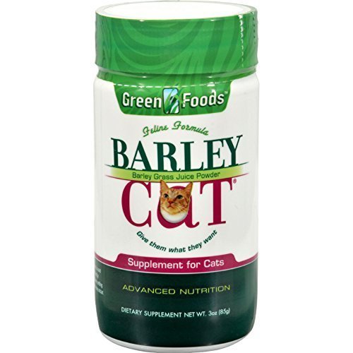 Barley Cat