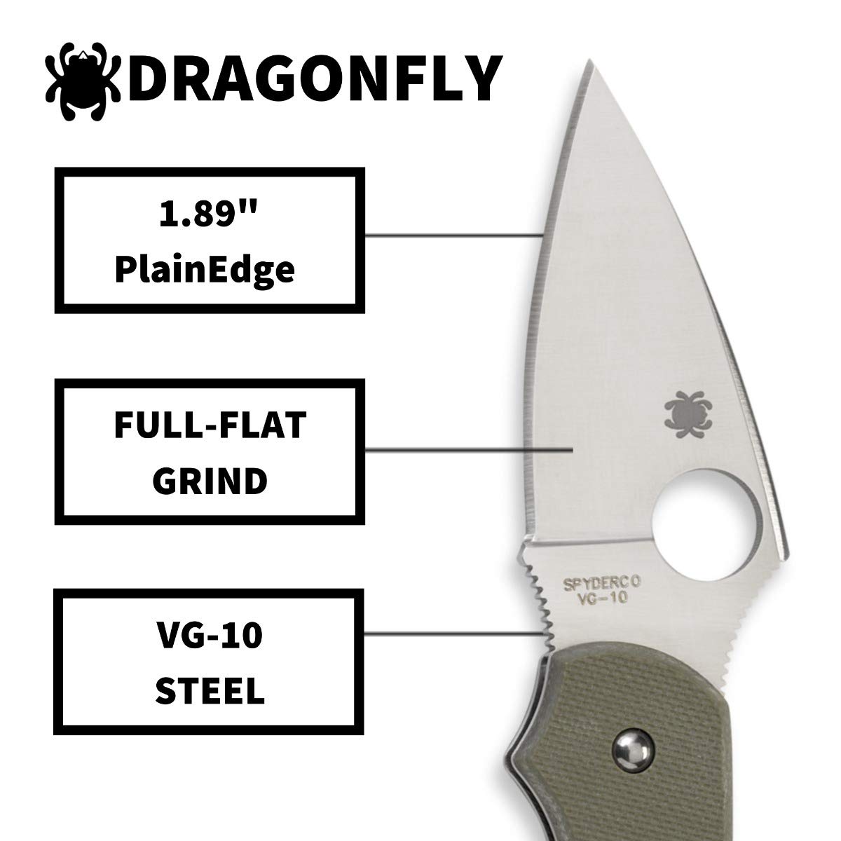 Spyderco Dragonfly Signature Knife with 2.28" VG-10 Steel Blade and Durable Foliage Green G-10 Handle - PlainEdge - C28GPFG