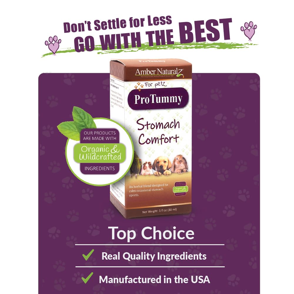 Amber NaturalZ ProTummy Stomach Comfort Herbal Blend for Dogs, Bird, Guinea Pigs, and Rabbits | Herbal Supplement for Occasional Upset Stomach | 1 Fluid Ounce Glass Bottle | Manufactured in The USA