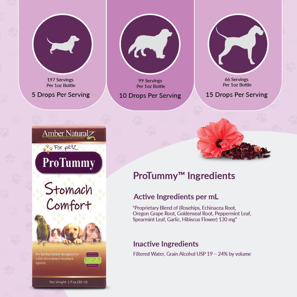 Amber NaturalZ ProTummy Stomach Comfort Herbal Blend for Dogs, Bird, Guinea Pigs, and Rabbits | Herbal Supplement for Occasional Upset Stomach | 1 Fluid Ounce Glass Bottle | Manufactured in The USA