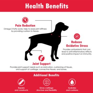 PHS Joint MAX Triple Strength (TS) Soft Chews for Dogs - Glucosamine, Chondroitin, MSM - Vitamins, Minerals, Antioxidants- Hip and Joint Support for Dogs - Made in USA - 2-Pack - 480 Soft Chews