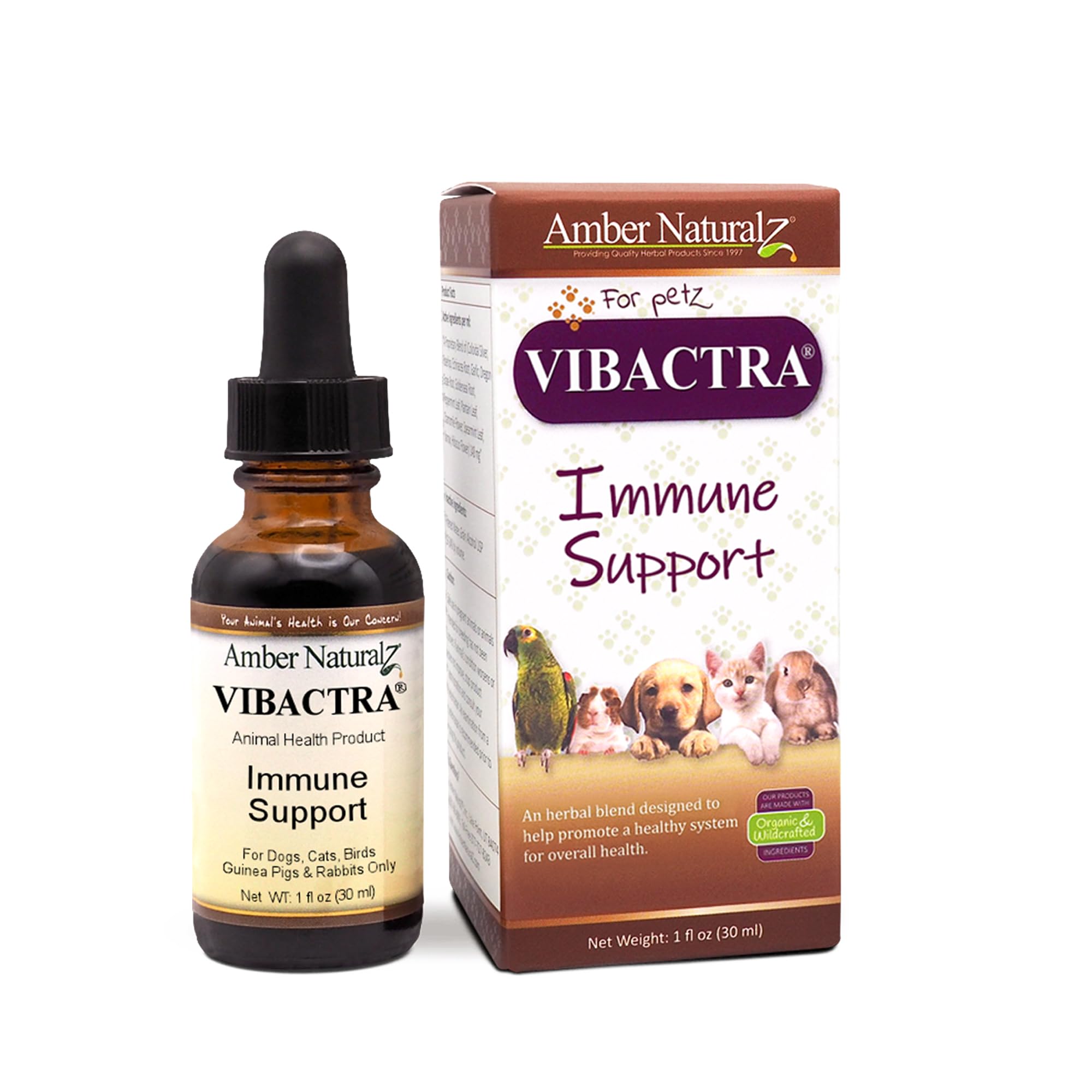 Amber NaturalZ Vibactra Immune Support Herbal Supplement for Dogs, Cats, Birds, Guinea Pigs, and Rabbits | Pet Herbal Blend for Overall Health | 1 Fluid Ounce Glass Bottle | Manufactured in The USA