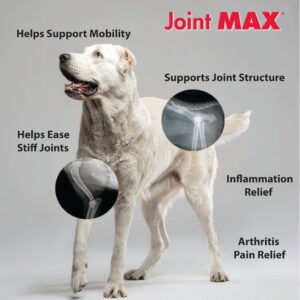 PHS Joint MAX Triple Strength (TS) Soft Chews for Dogs - Glucosamine, Chondroitin, MSM - Vitamins, Minerals, Antioxidants- Hip and Joint Support for Dogs - Made in USA - 2-Pack - 480 Soft Chews