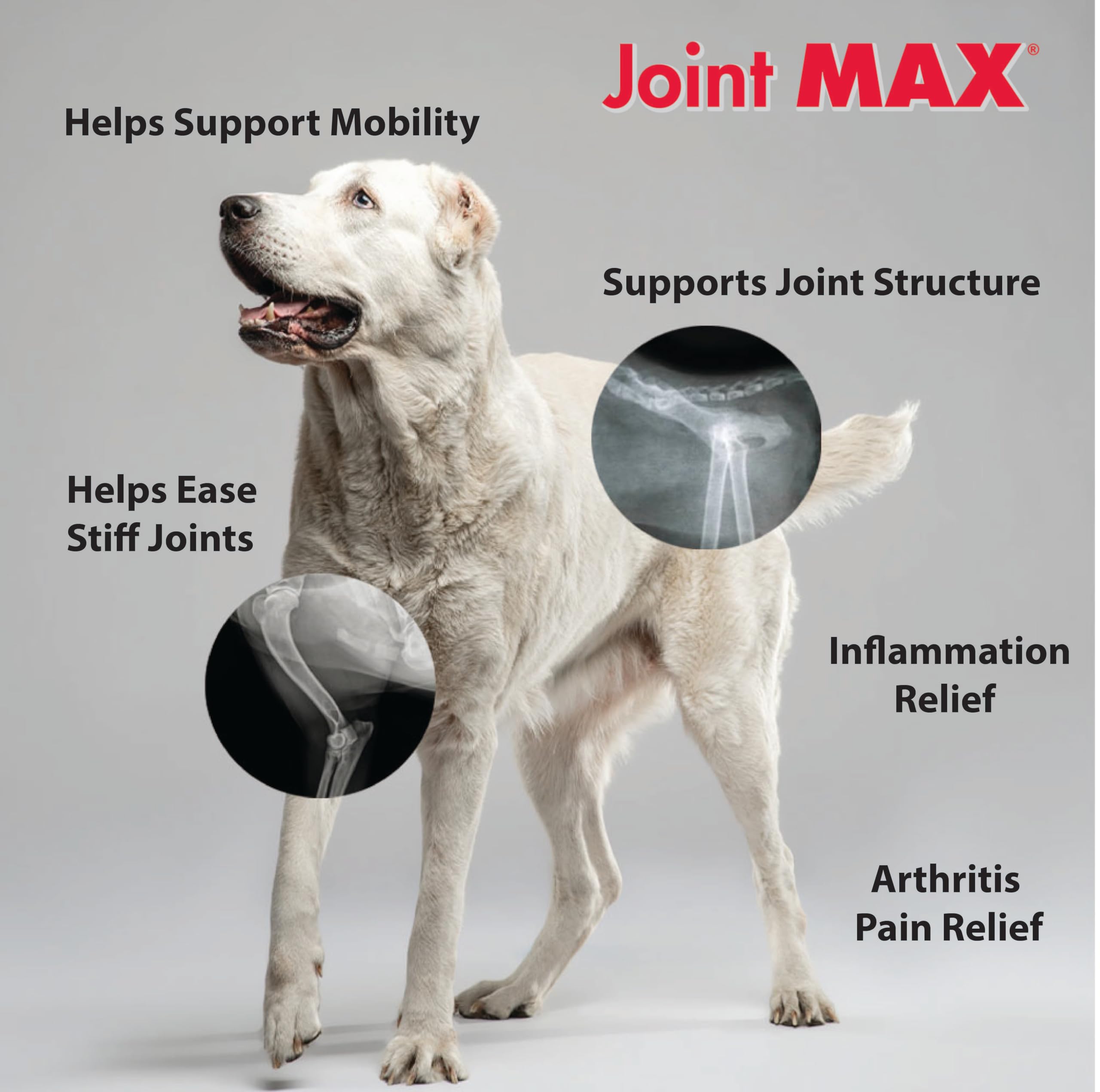 PHS Joint MAX Triple Strength (TS) Soft Chews for Dogs - Glucosamine, Chondroitin, MSM - Vitamins, Minerals, Antioxidants- Hip and Joint Support for Dogs - Made in USA - 2-Pack - 480 Soft Chews