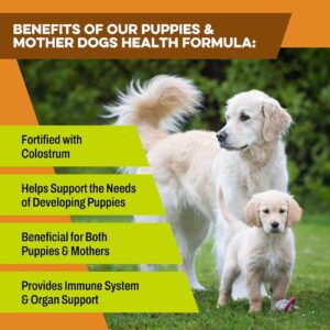 K9-Power - 'Puppy Gold' Growing Puppy Nutrition Formula