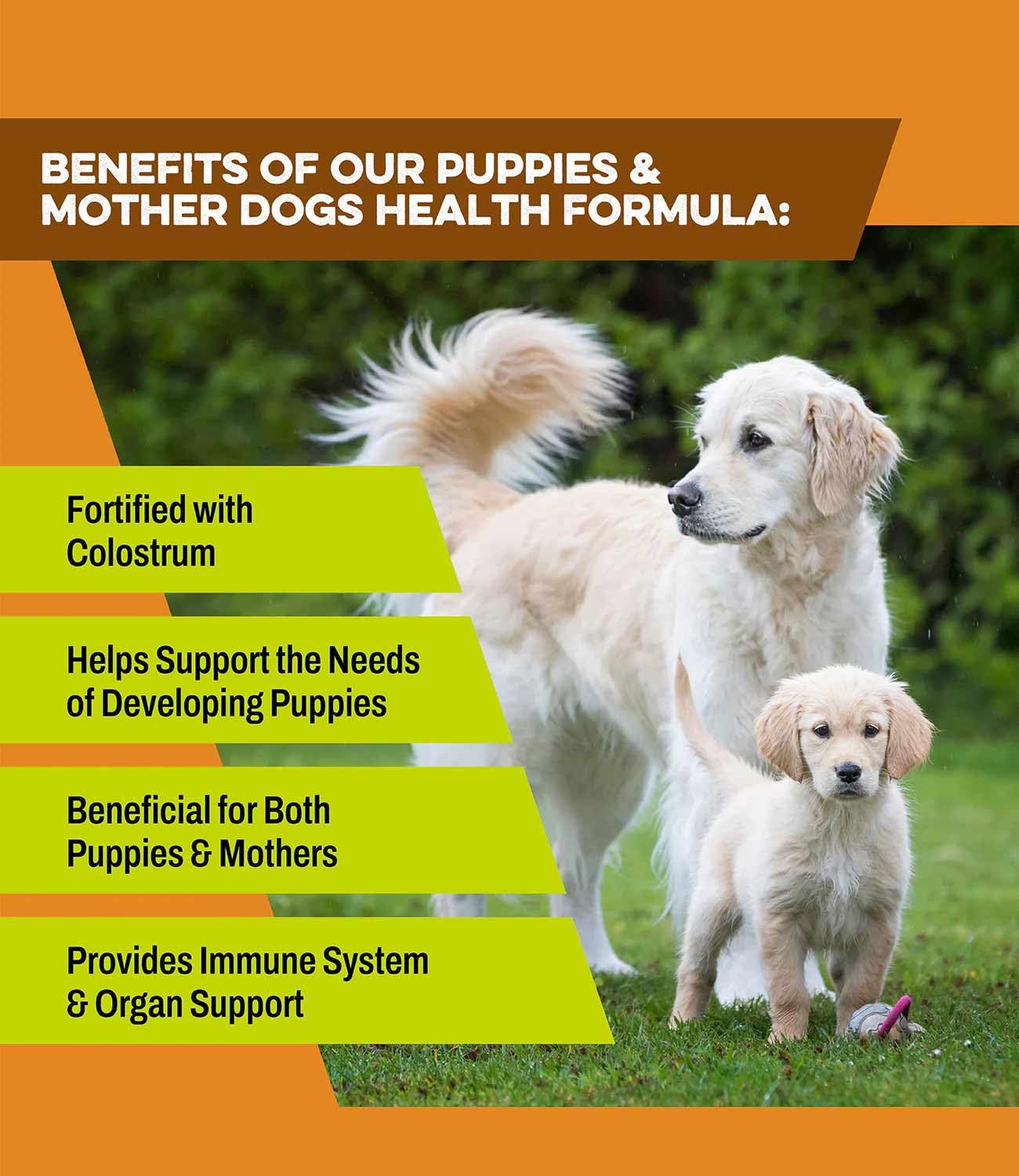 K9-Power - 'Puppy Gold' Growing Puppy Nutrition Formula