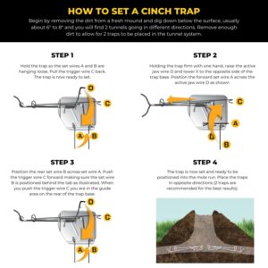 Cinch Traps Mole Trap Kit: Two Traps With Mole Tunnel Flags And Instructions - By - Made In America