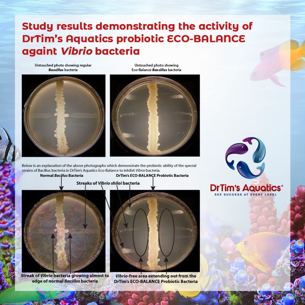 DrTim’s Aquatics Eco-Balance for Saltwater Aquariums – Multi-Strained, Supportive Probiotic Bacteria to Maintain a Balanced Fish Tank Environment-64 oz.