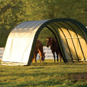 ShelterLogic Peak Style Run-in Shelter, Green, 22 x 24 x 12 ft.