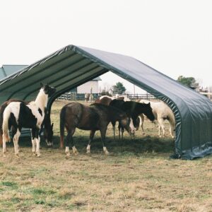 ShelterLogic Peak Style Run-in Shelter, Green, 22 x 24 x 12 ft.