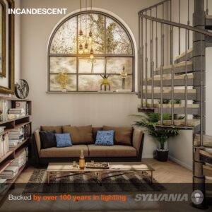 SYLVANIA Incadescent Globe Shape Décor Light Bulb, G16.5, 25W, E12 Candelabra Base, 180 Lumens, 2850K, Soft White - 6 Pack (13618)