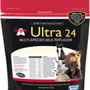 Savacaf Grade A Ultra 24 Multi-Species Milk Replacer, 8 Pound Bag