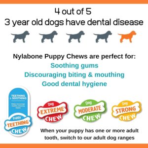 Nylabone Puppy Rubber Teether - Puppy Chew Toys for Teething - Puppy Supplies - Vanilla Flavor, Small/Regular (1 Count)