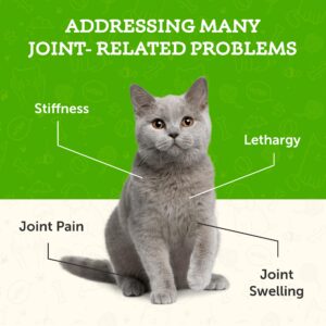 Animal Essentials Joint Support for Dogs & Cats - Joint Supplement, Liquid Joint Formula, Liquid Glucomasine, Organic Human Grade Herbs - 1 Fl Oz