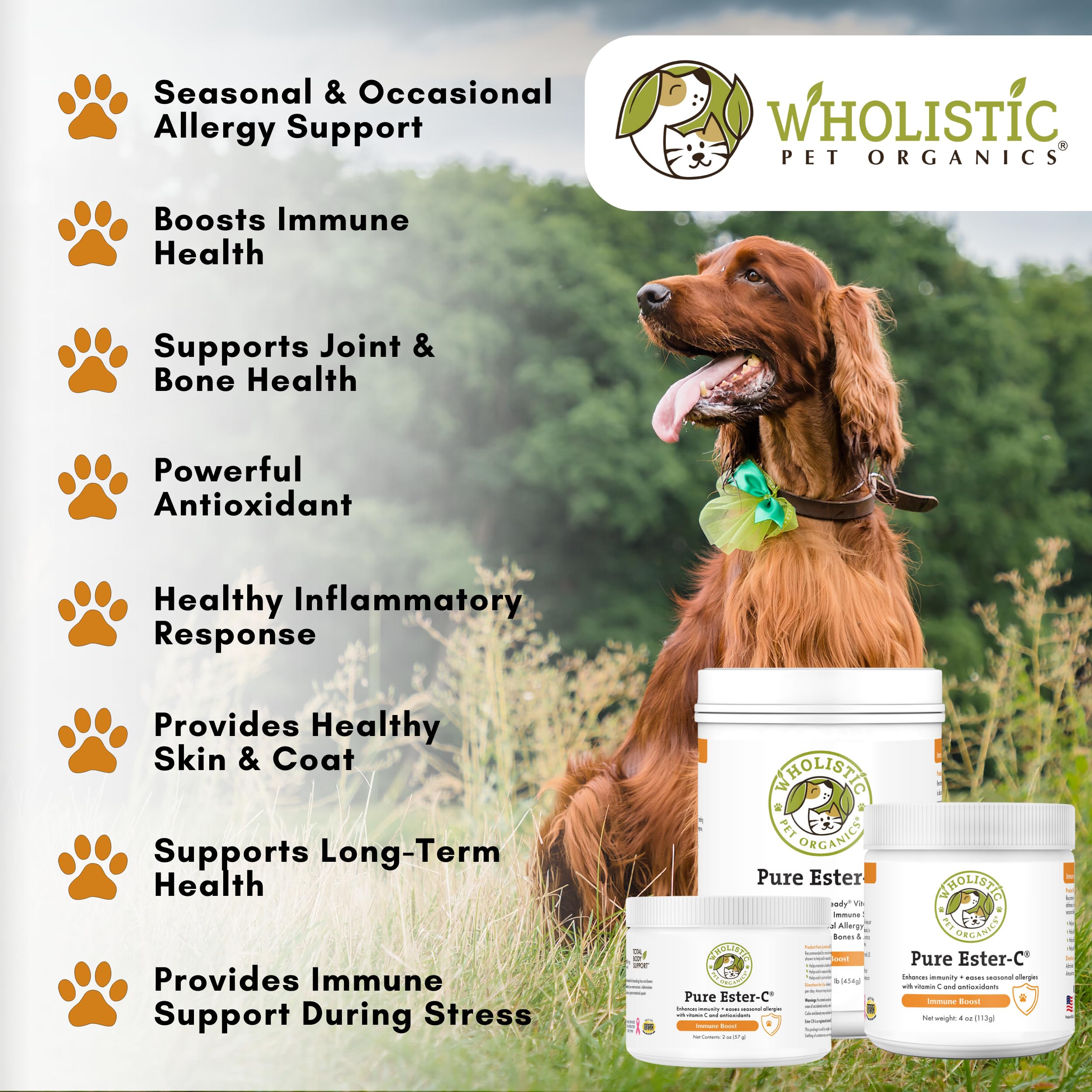 Wholistic Pet Organics Pure Ester-C Powder for Dogs & Cats - 1 Lb - Vitamin C Supplement for Immune Support, Skin & Coat Health, & Allergy Relief - Dog Vitamin Powder for Itchy Skin & Homemade Food