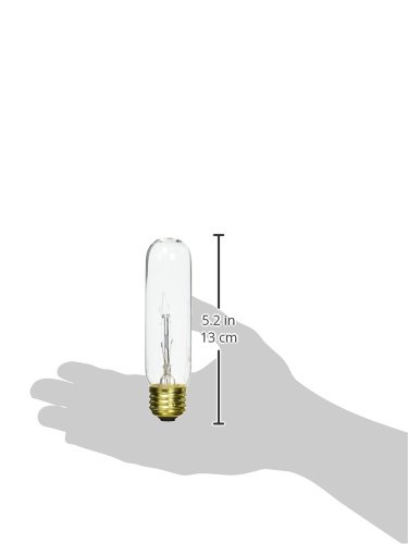 Bulbrite Incandescent T10 Medium Screw Base (E26) Light Bulb, 1 Count (Pack of 1), Clear