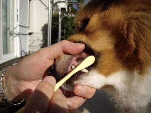 MIND UP Toothbrush Soft Bristle for Large Dogs