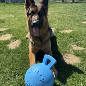 Jolly Pets Tug-n-Toss Heavy Duty Dog Toy Ball with Handle, 8 Inches/Large, Blueberry