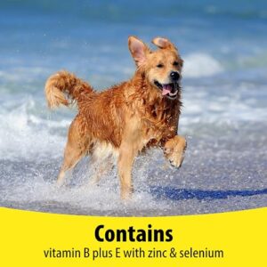 Vetzyme Dog B + E 200 Tablets