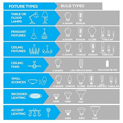 Bulbrite Incandescent T10 Medium Screw Base (E26) Light Bulb, 1 Count (Pack of 1), Clear