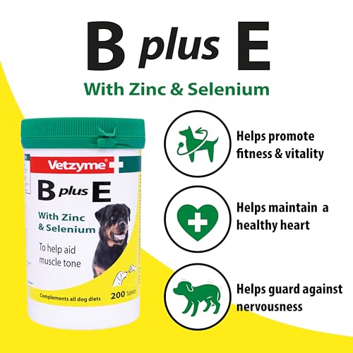 Vetzyme Dog B + E 200 Tablets