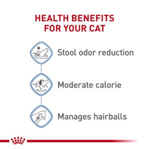 Royal Canin Feline Health Nutrition Dry Indoor Cat Food, Supports Healthy Weight, Digestive Health and Hairball Management, 3 lb Bag