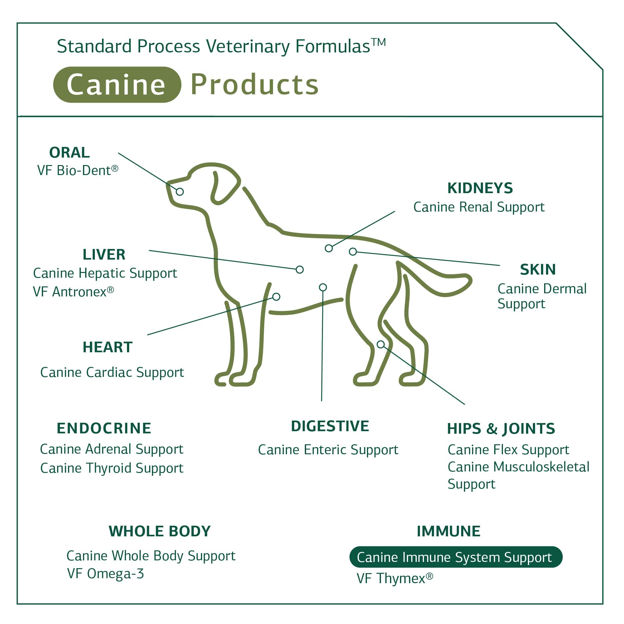 Standard Process Canine Immune 110 grams