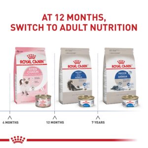 Royal Canin Feline Health Nutrition Dry Indoor Cat Food, Supports Healthy Weight, Digestive Health and Hairball Management, 3 lb Bag