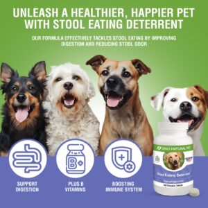 ONLY NATURAL PET Stool Eating Deterrent - Stop Stool Eating Coprophagia - Prevent Poop Eating in Dogs & Puppies | w/Digestive Enzymes | 90 Chewable Tablets for Gut Health - Natural Turkey Flavor